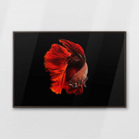 LWN120W080