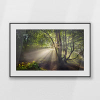 PBP093W062
