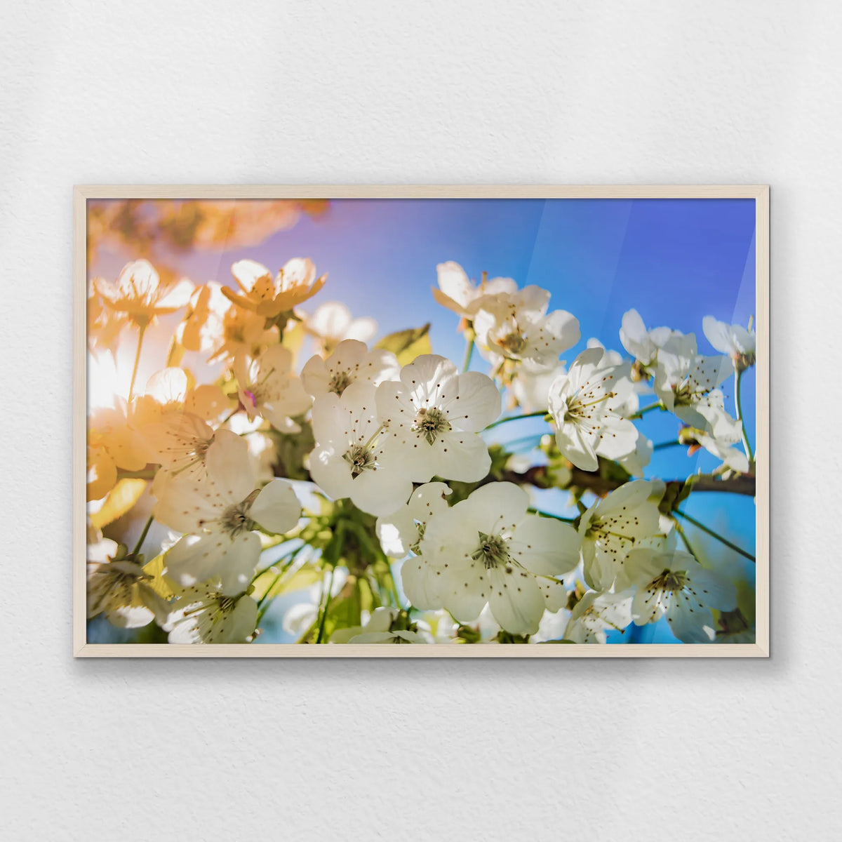 PN-093W062