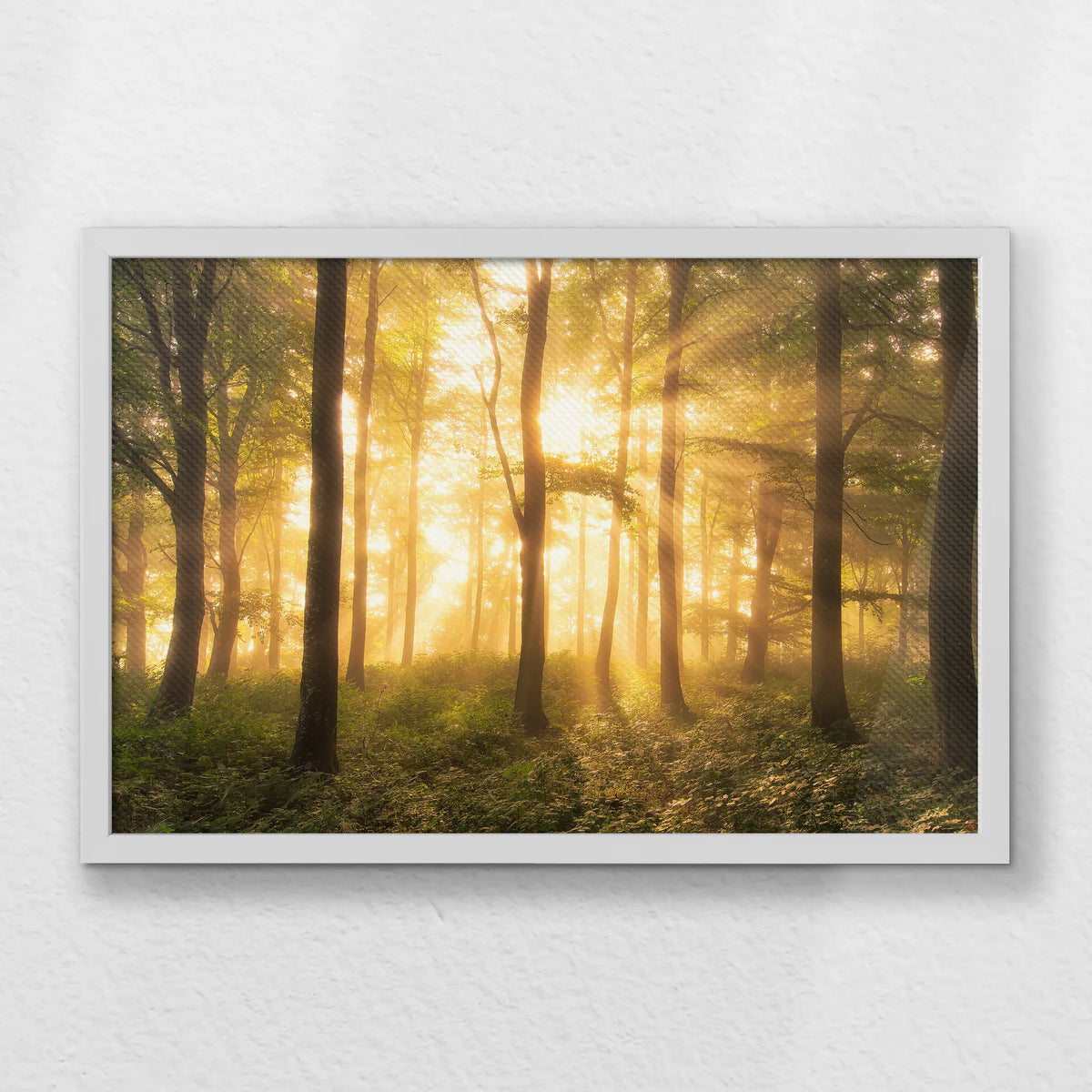 LWW060W040