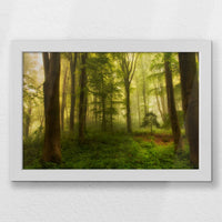 LWW030W020