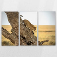 LW-210R140