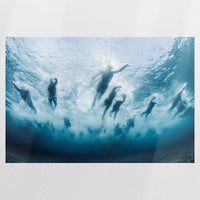 PO-120W080