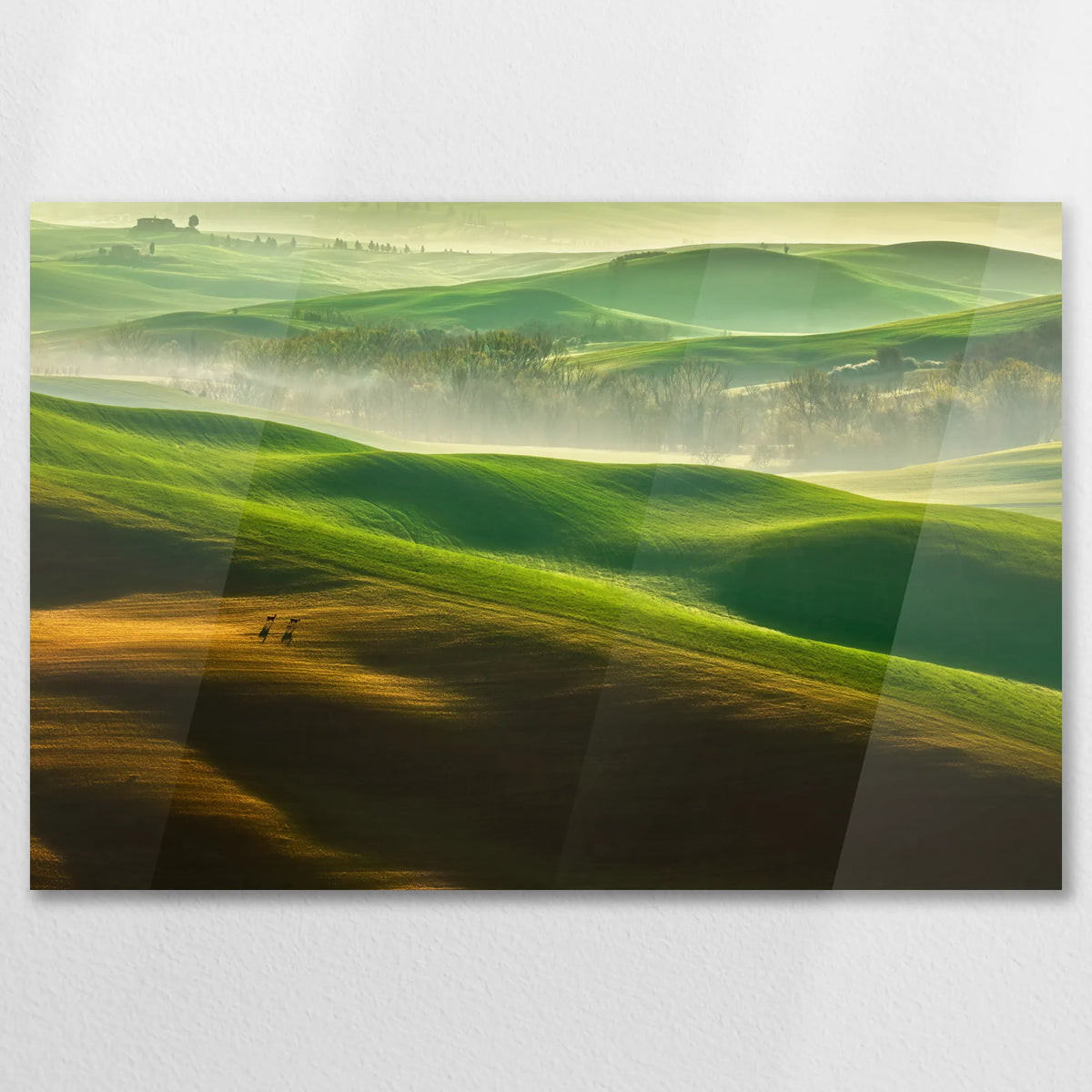 AC-075W050