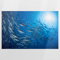 PO-120W080