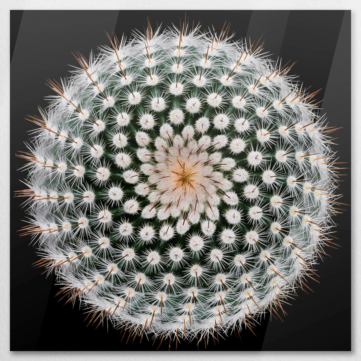 AC-090W090