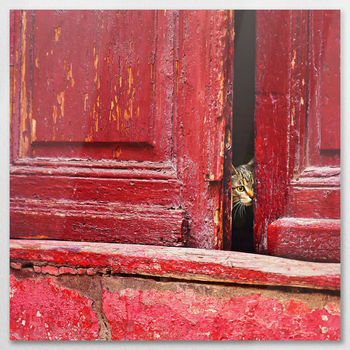 AL-080W080