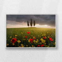 LWW120W080