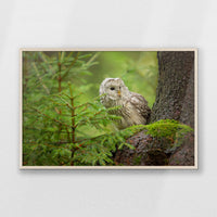 PN-100W070