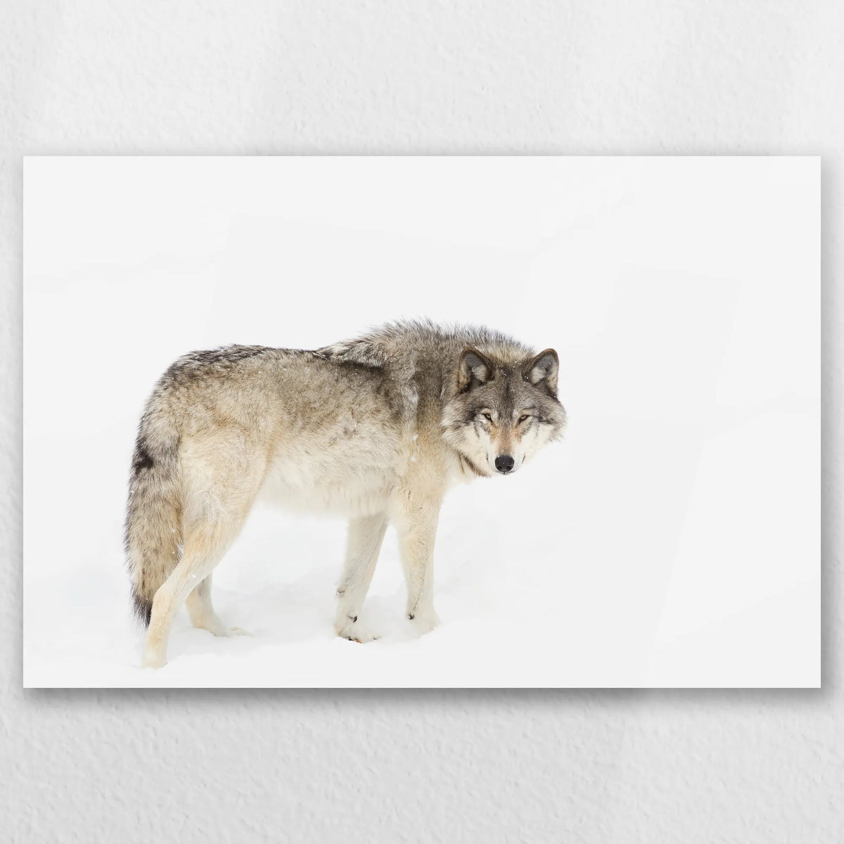 AC-060W040