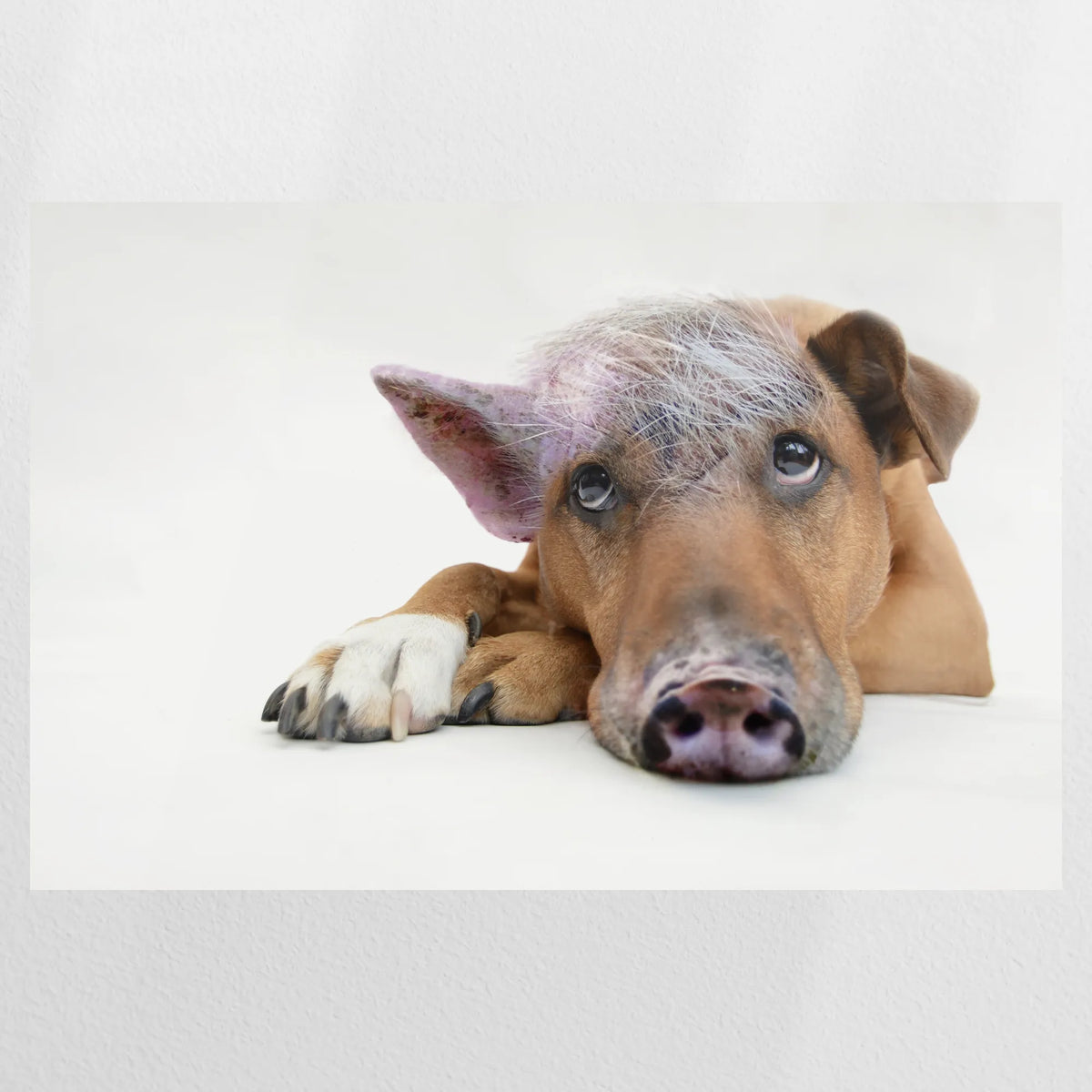 PO-075W050