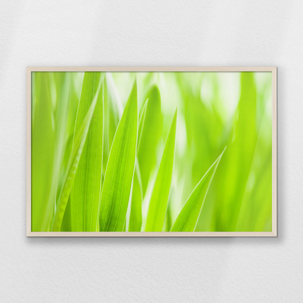 PN-093W062