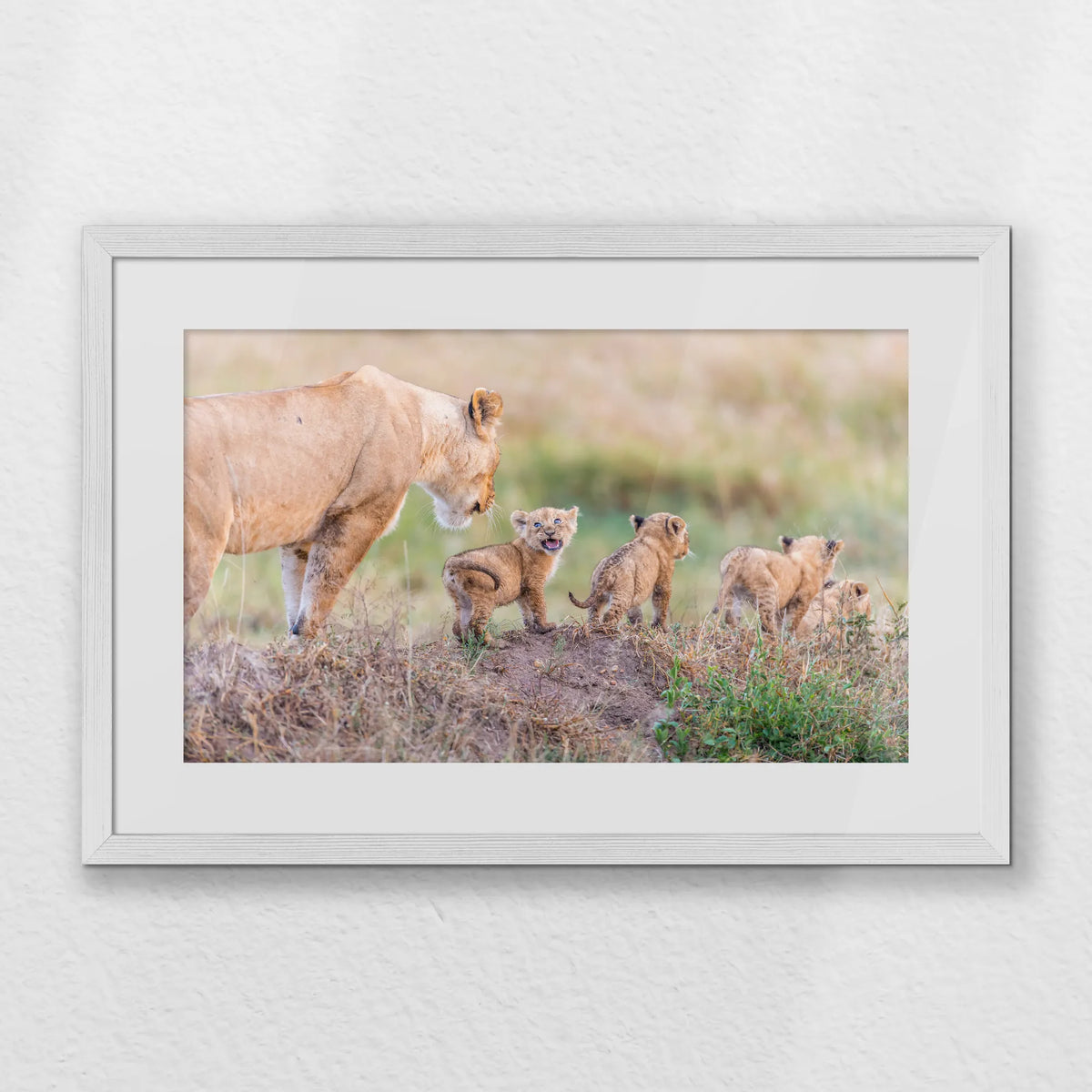 PWP060W040