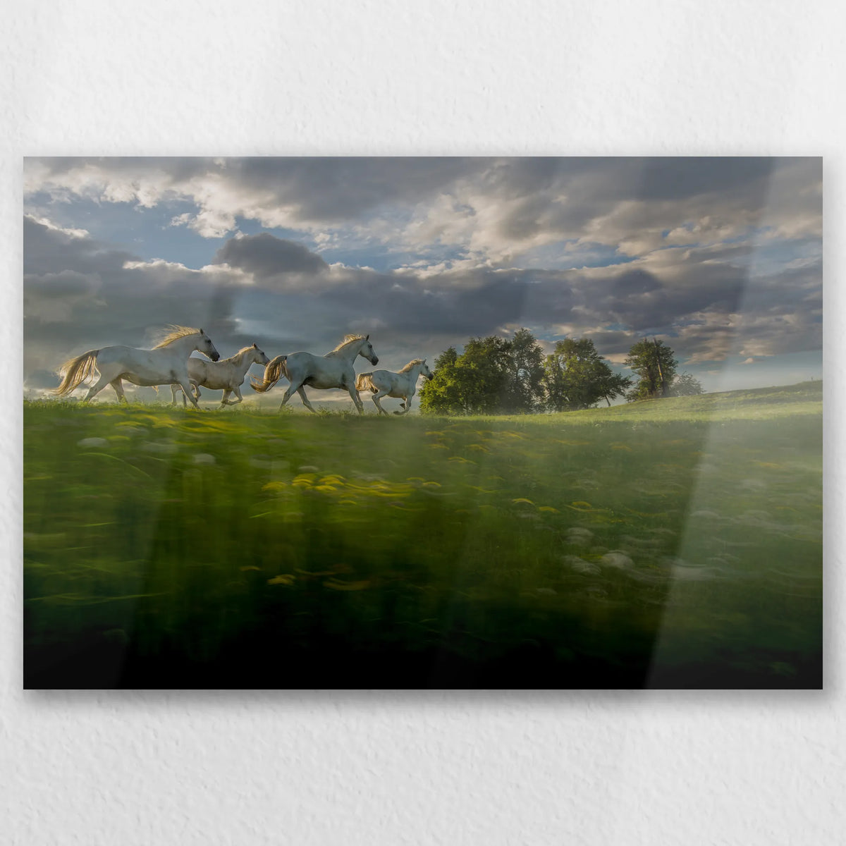 AL-030W020