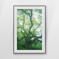 PBP070W100