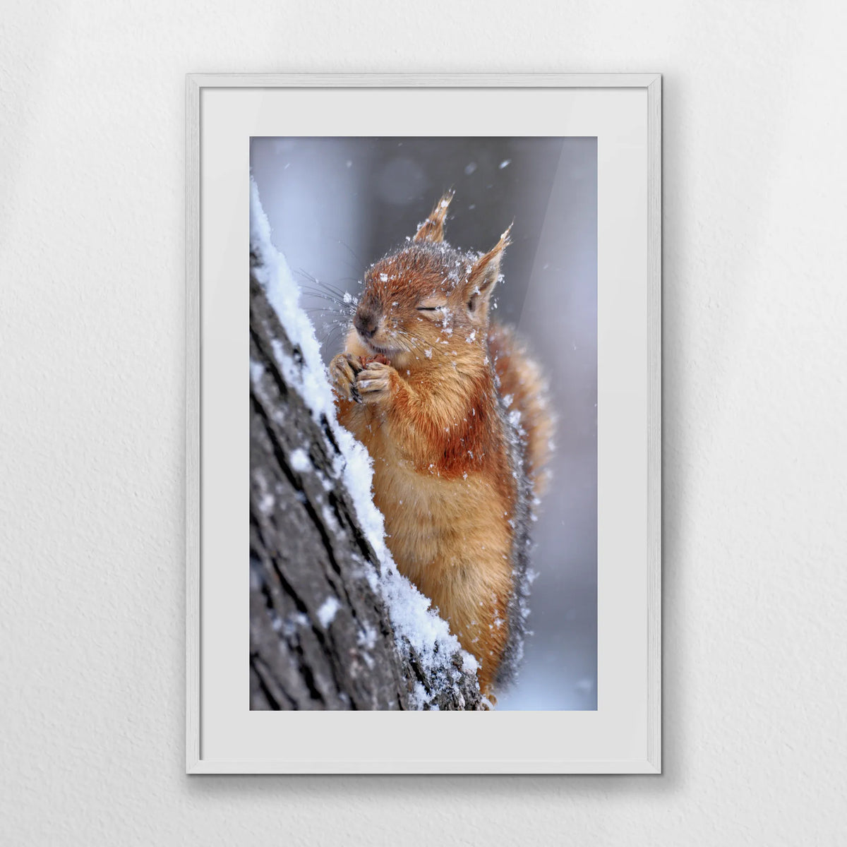 PWP062W093