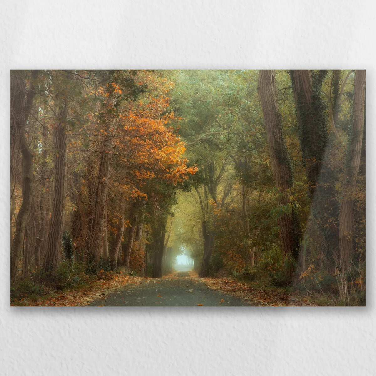 AL-030W020