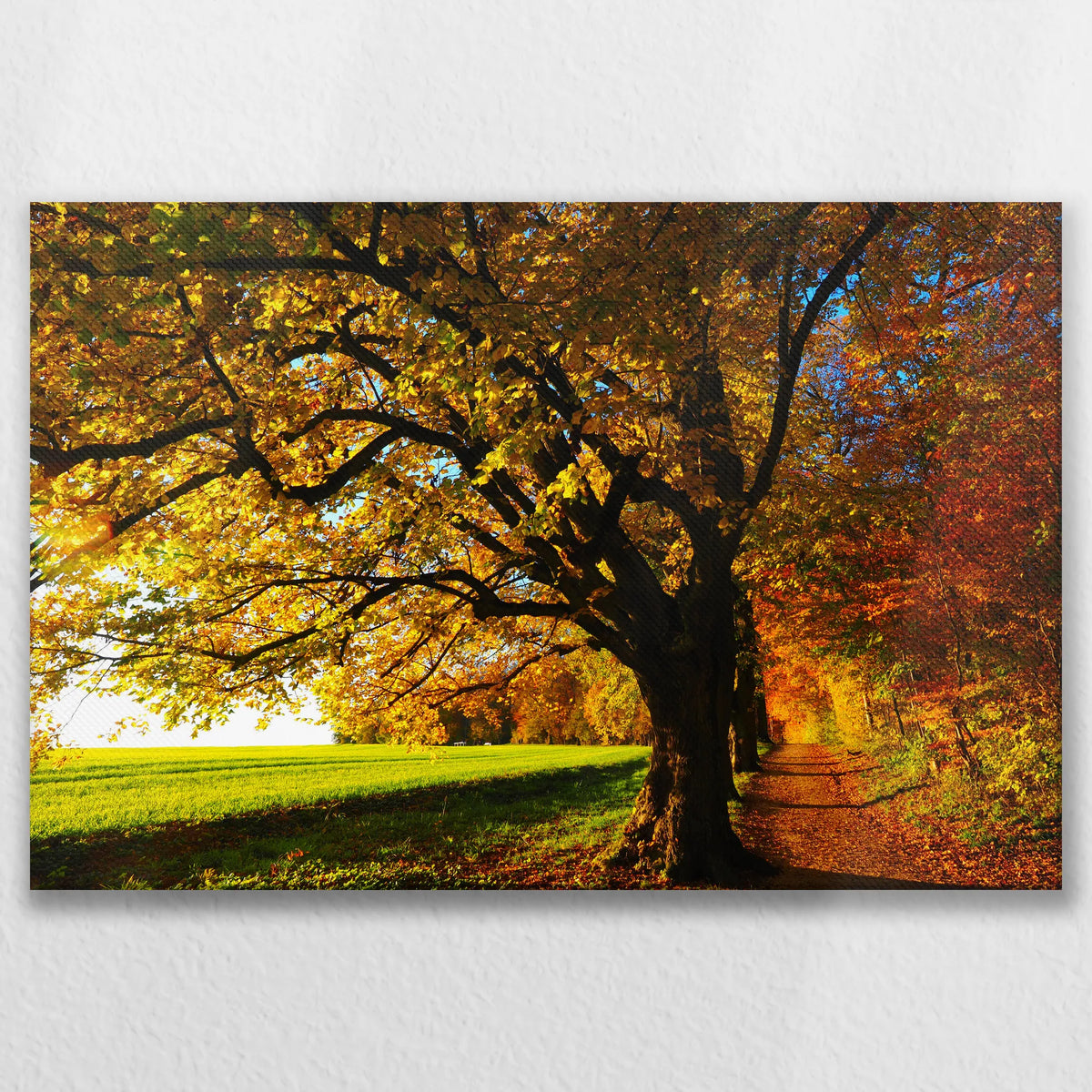 LW-075W050
