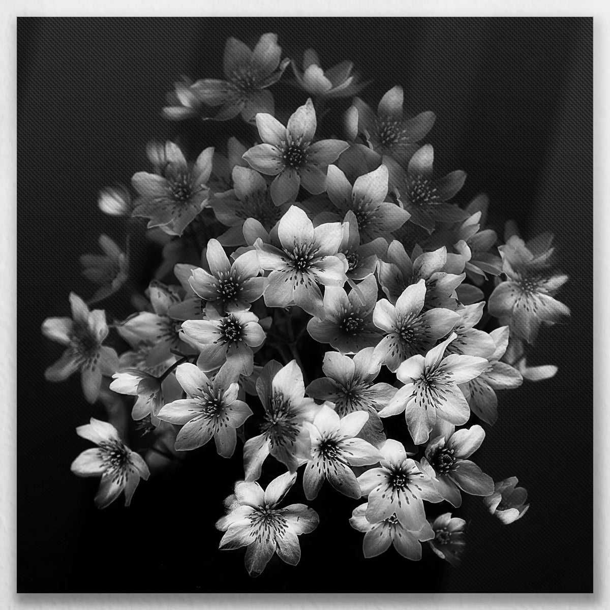 LW-070W070