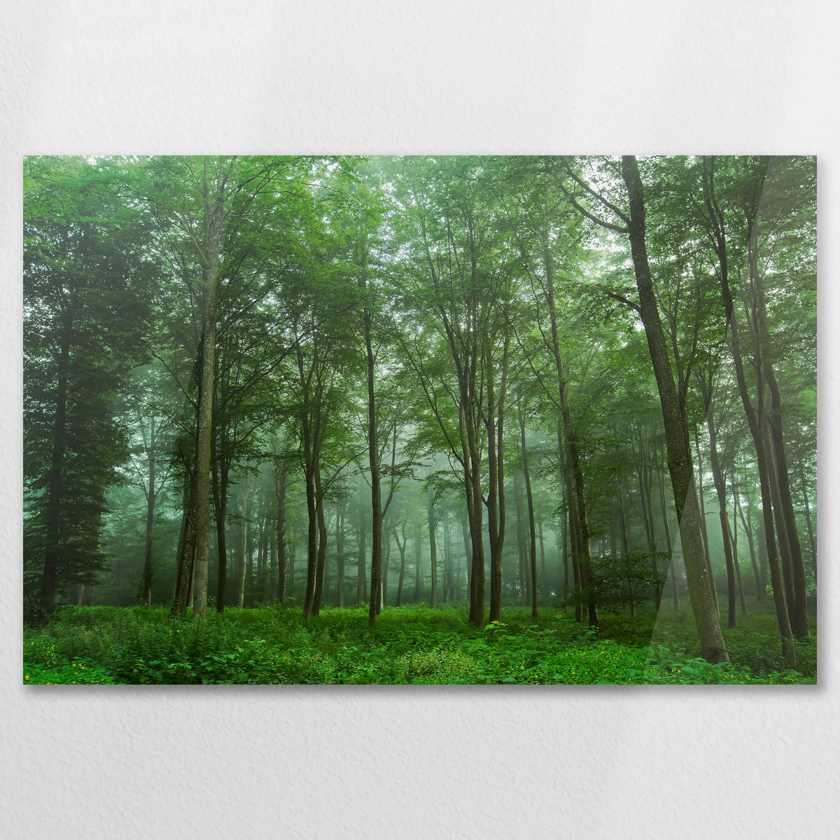 AC-075W050