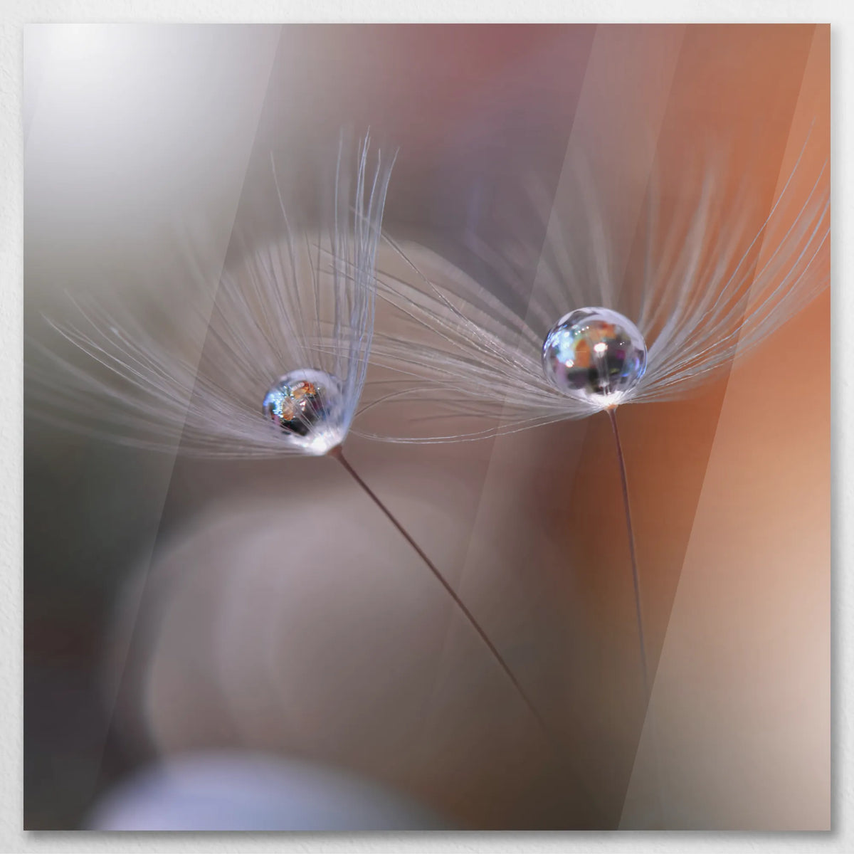 AC-070W070