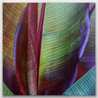 LW-080W080