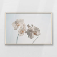 PN-093W062