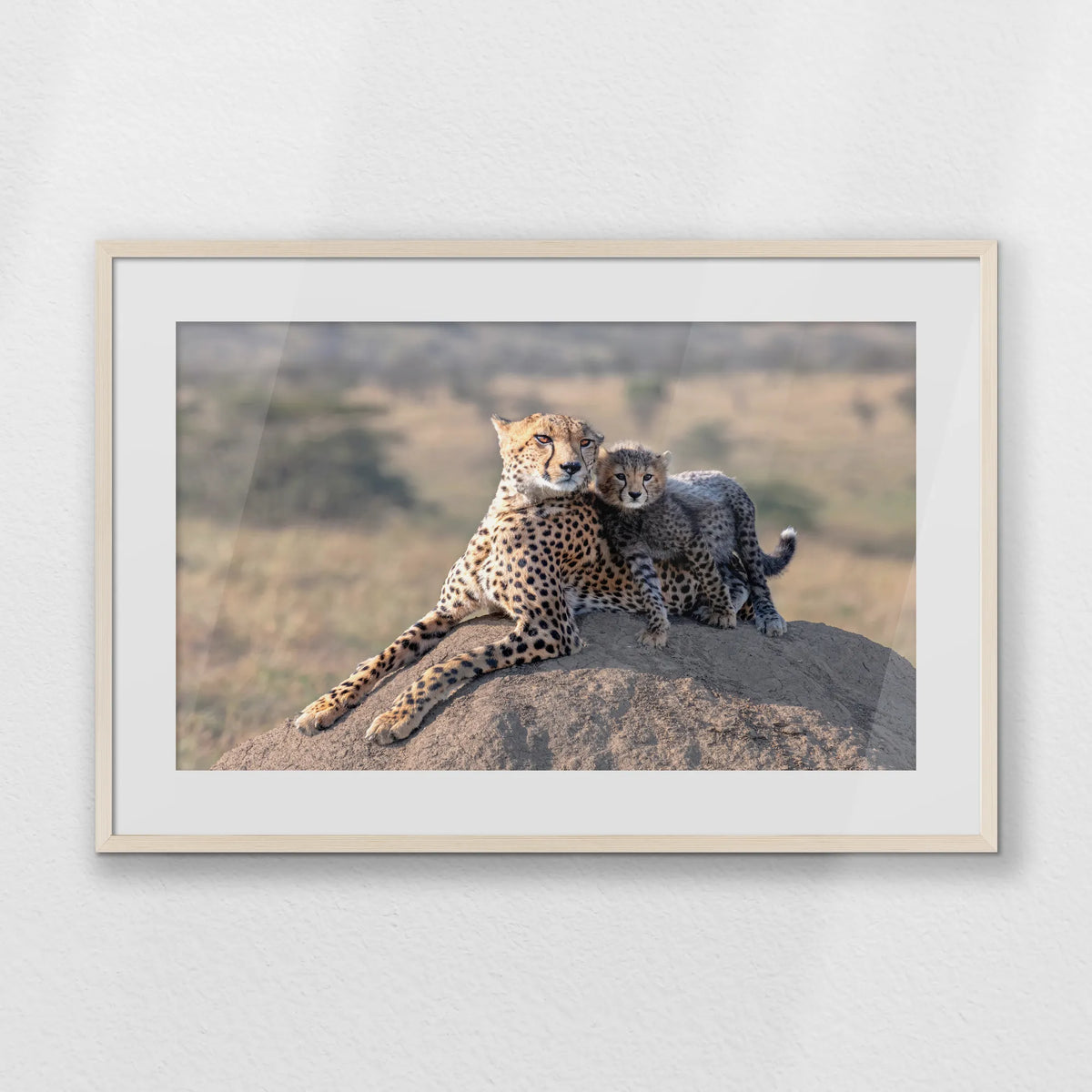 PNP093W062