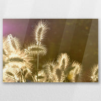 AC-045W030