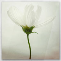 AC-040W040