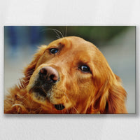 LW-030W020