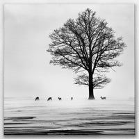 LW-070W070