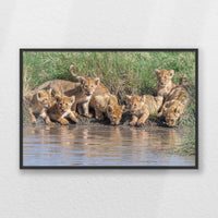 PB-060W040