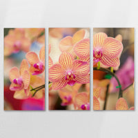AC-150R100