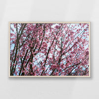 PN-093W062