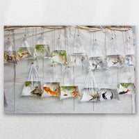 AL-045W030