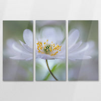 AL-150R100