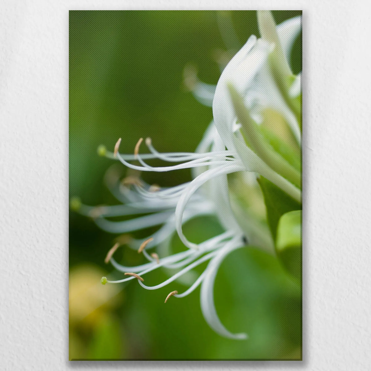 LW-080W120