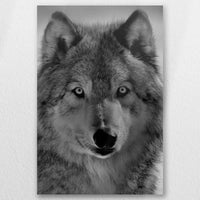 AL-050W075