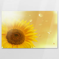 AC-120W080