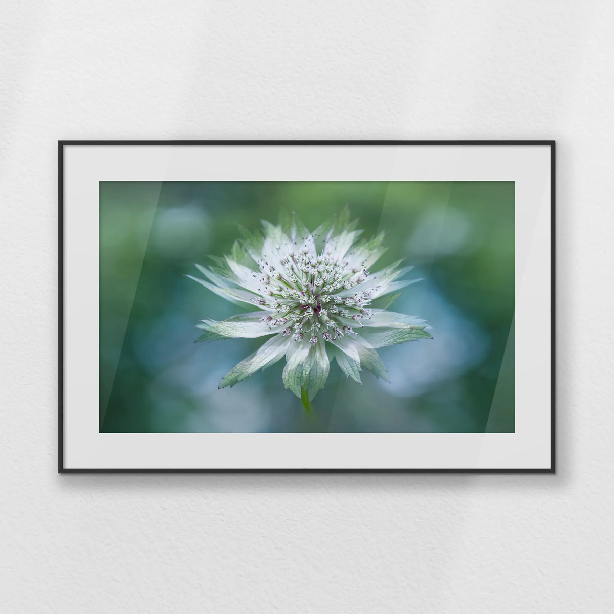 PBP093W062