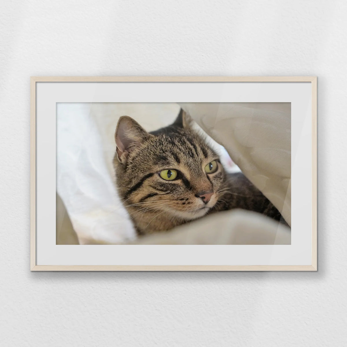 PNP093W062