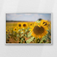 PS-060W040