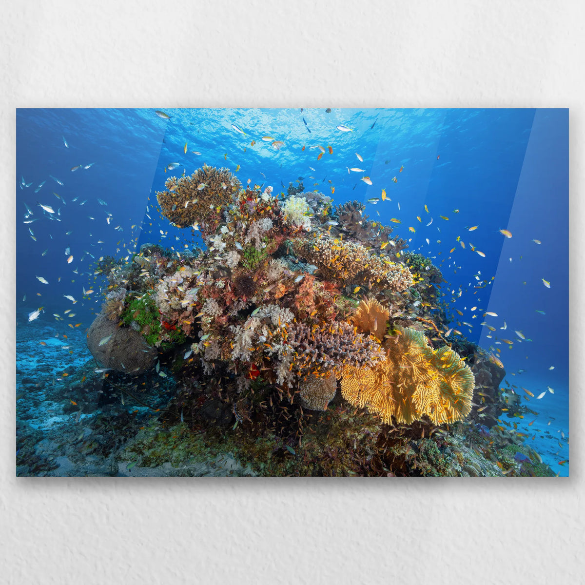 AC-030W020