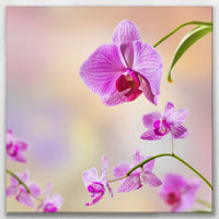 LW-080W080