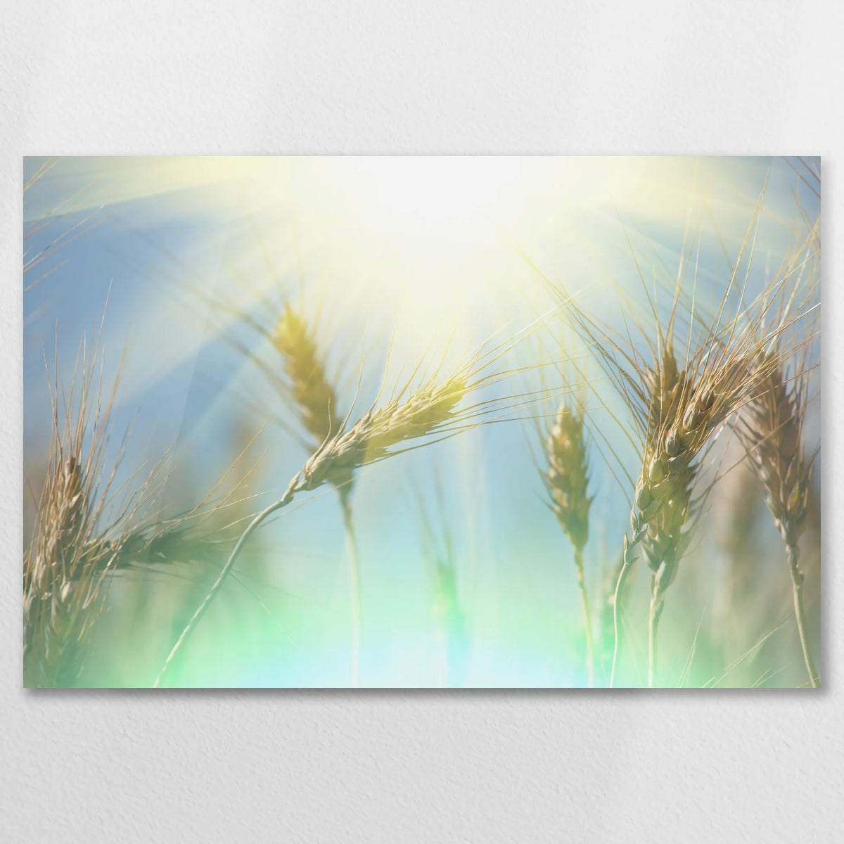 AC-075W050
