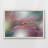 PN-060W040
