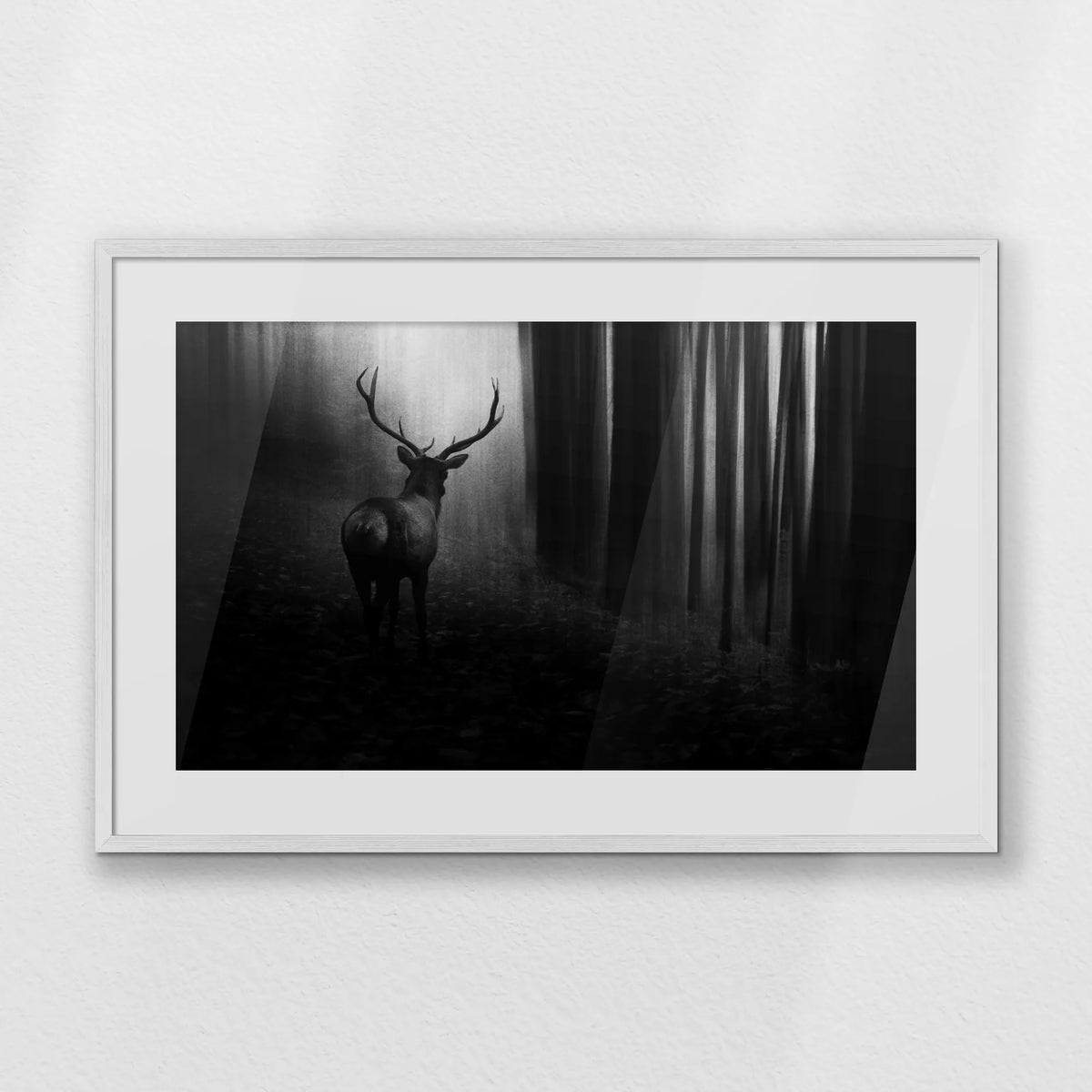 PWP093W062