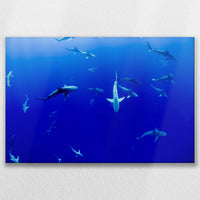 LW-075W050
