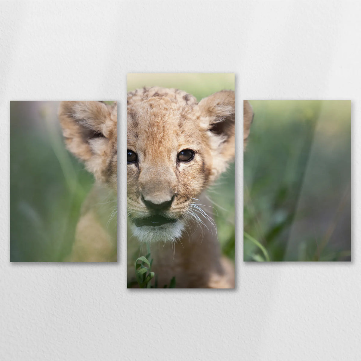 AL-120T080